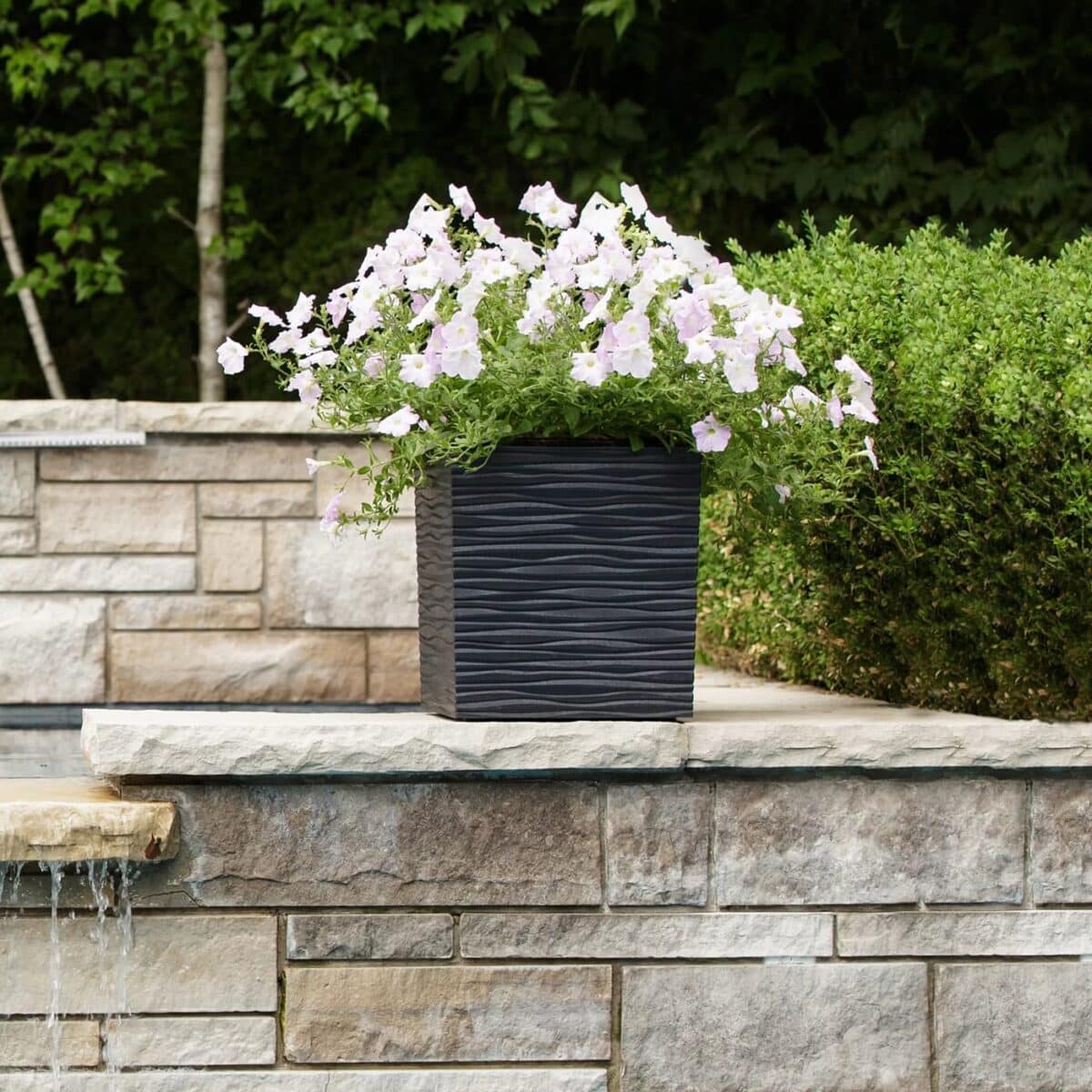 Flower pot- Serenity - Image 2