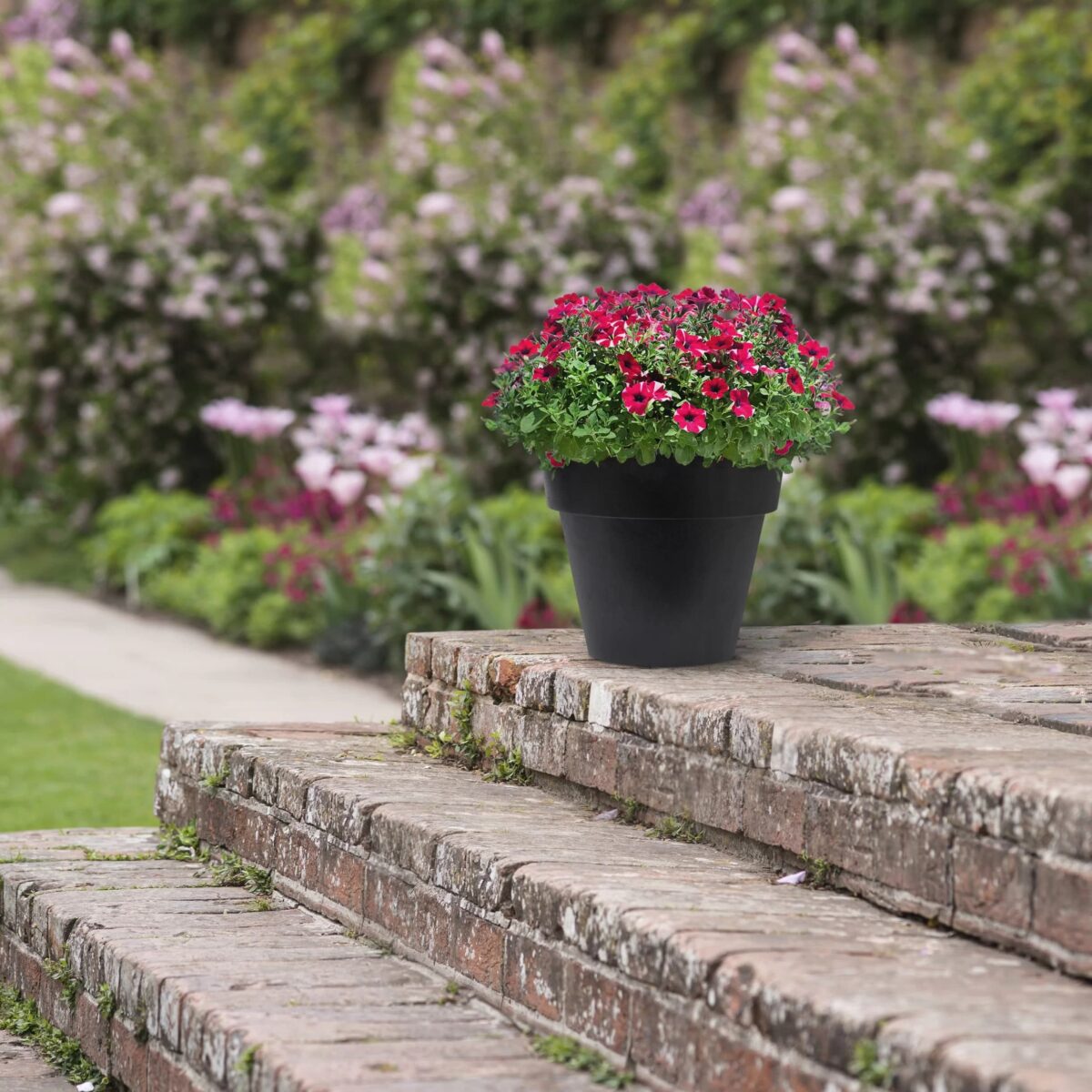 Flowerpot- Bariton - Image 4