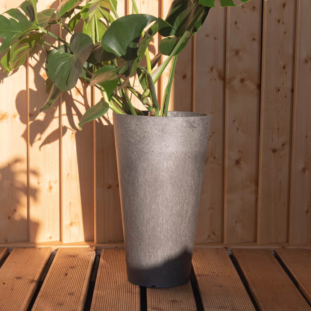Flowerpot- Concerto - Image 5