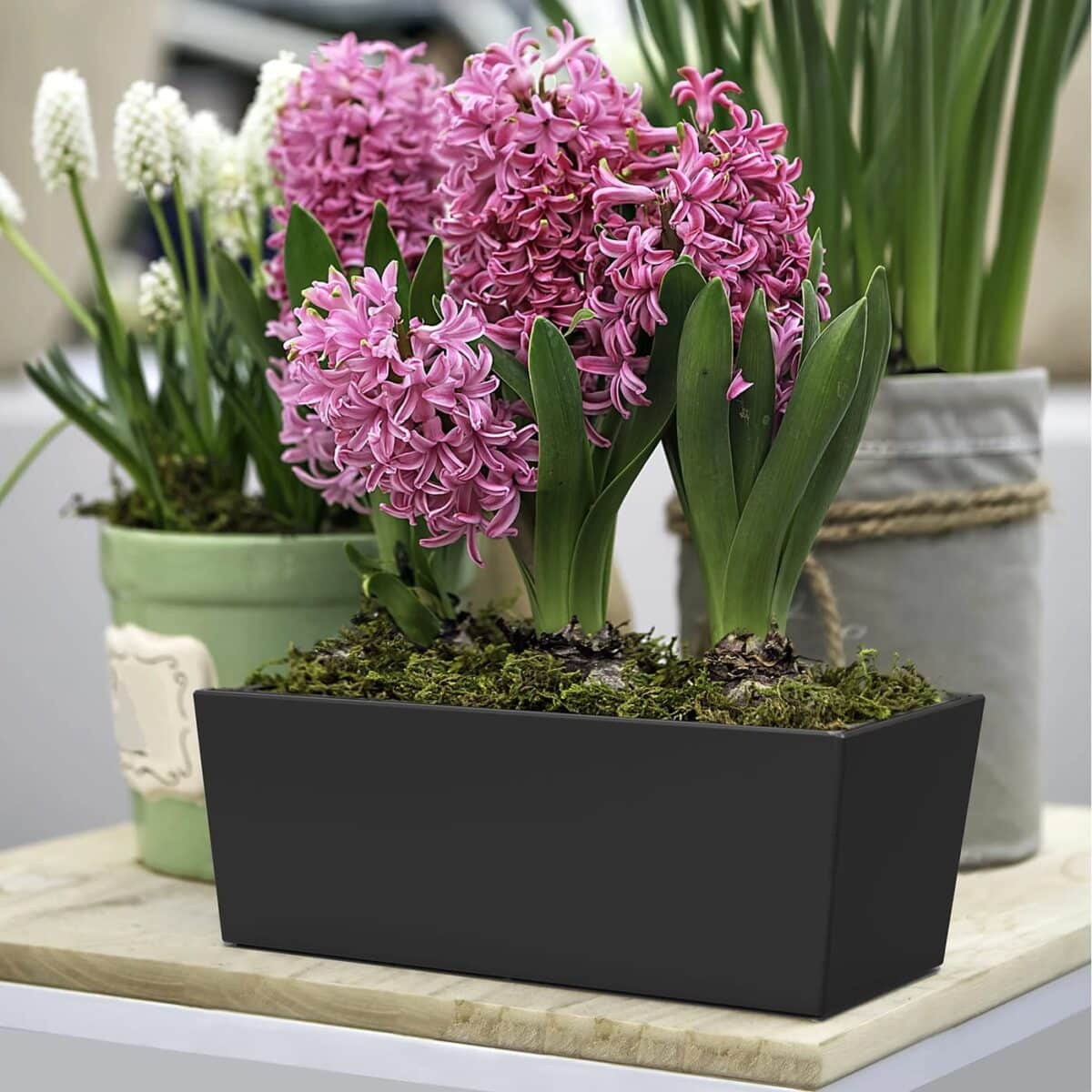 Flower pot rectangular - Sonata - Image 4