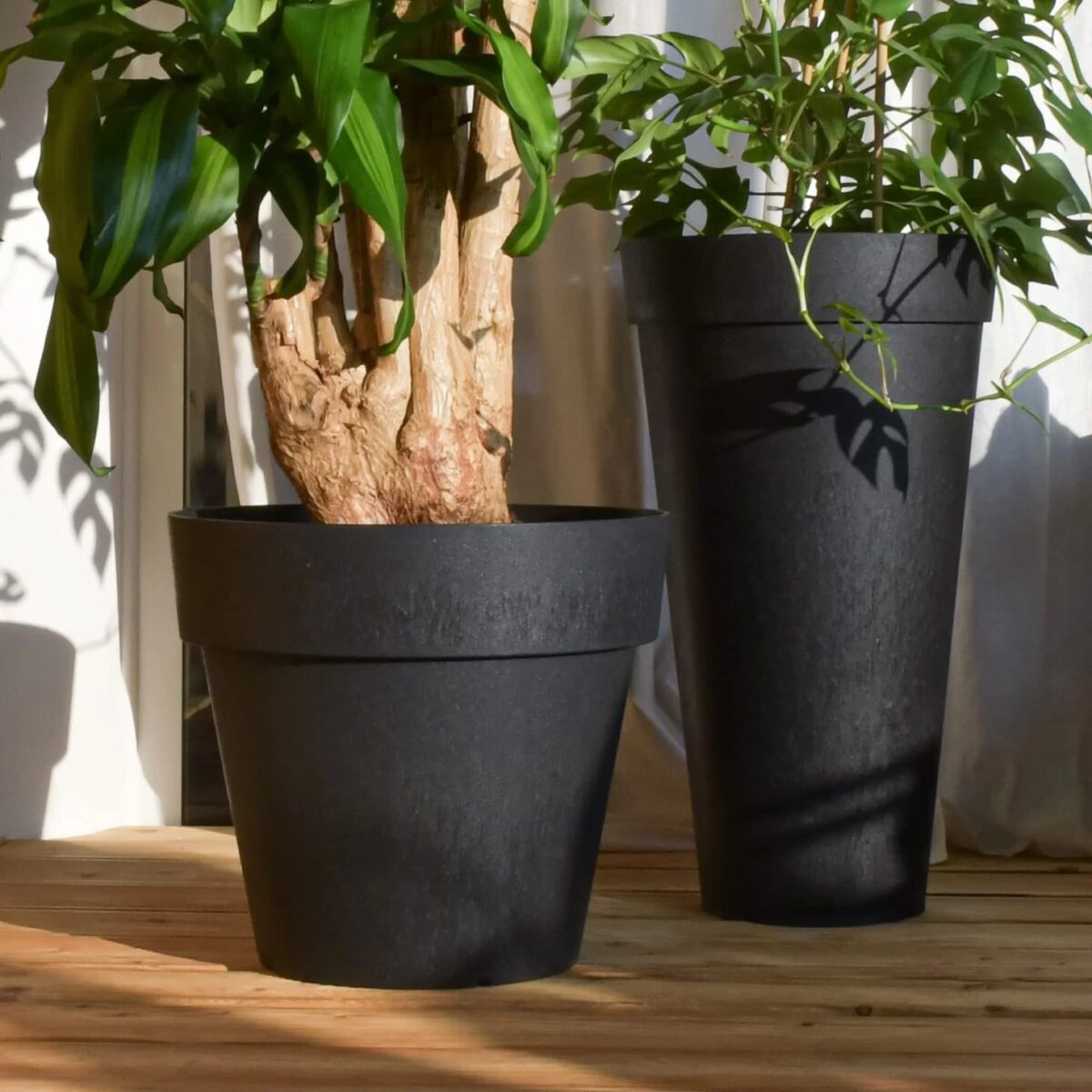 Flowerpot- Bariton - Image 3